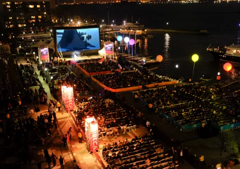 On Screen at Tribeca