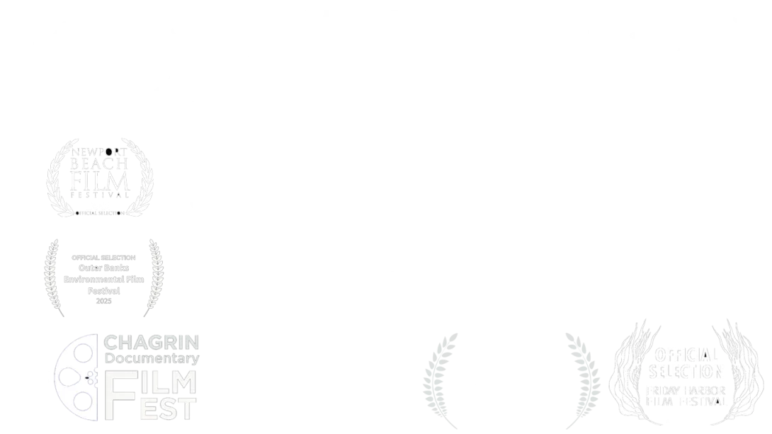 Tribeca Film Festival 2025 Best Cinematography and laurels