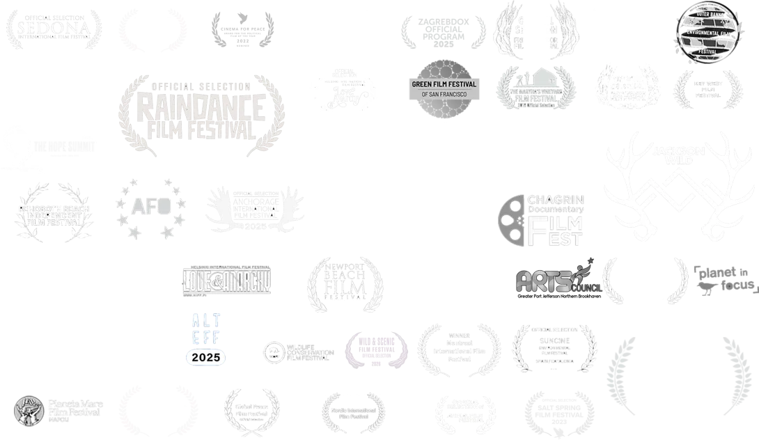 Tribeca Film Festival 2025 Best Cinematography and laurels